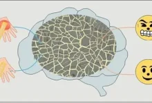 New System Designed for Wearable Devices to Detect Stress