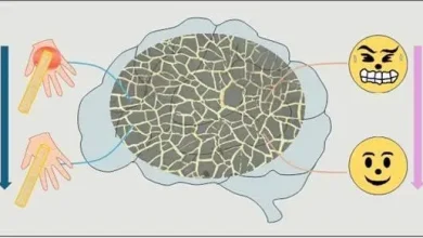 New System Designed for Wearable Devices to Detect Stress