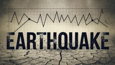 Earthquake of 4.8 Magnitude Shakes Assam