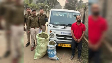 Guwahati Police Arrest Drug Peddler, Seize 20.6 Kg Ganja in Raid