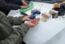Sribhumi Police, BSF Seize 8,000 Yaba Tablets in Sutarkandi Anti-Drug Operation