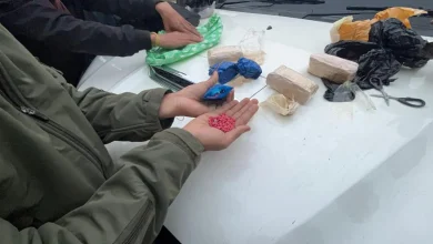 Sribhumi Police, BSF Seize 8,000 Yaba Tablets in Sutarkandi Anti-Drug Operation