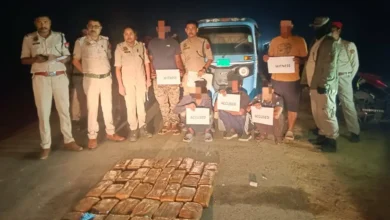 Cachar Police Seize 38 Kg Cannabis Worth ₹30 Lakh, Three 3